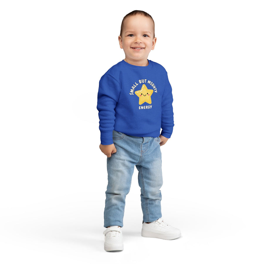 Toddler Sweatshirt - 