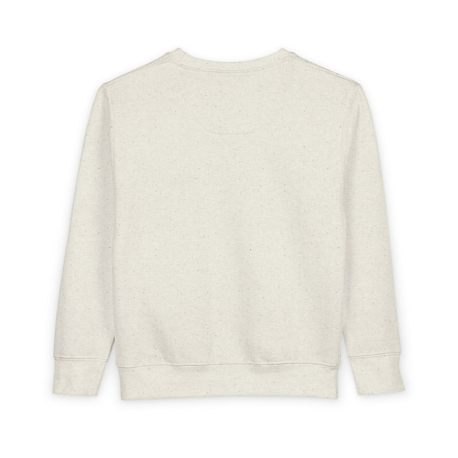 This Little Light of Mine Toddler Sweatshirt Pullover