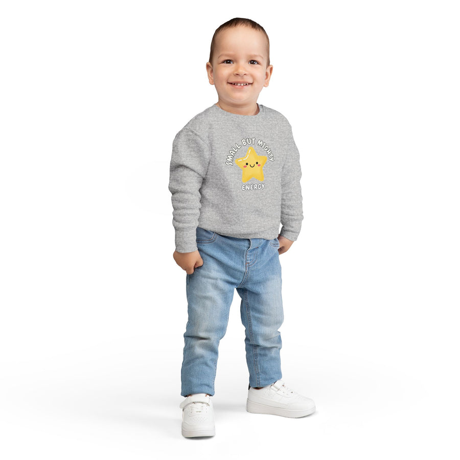 Toddler Sweatshirt - 