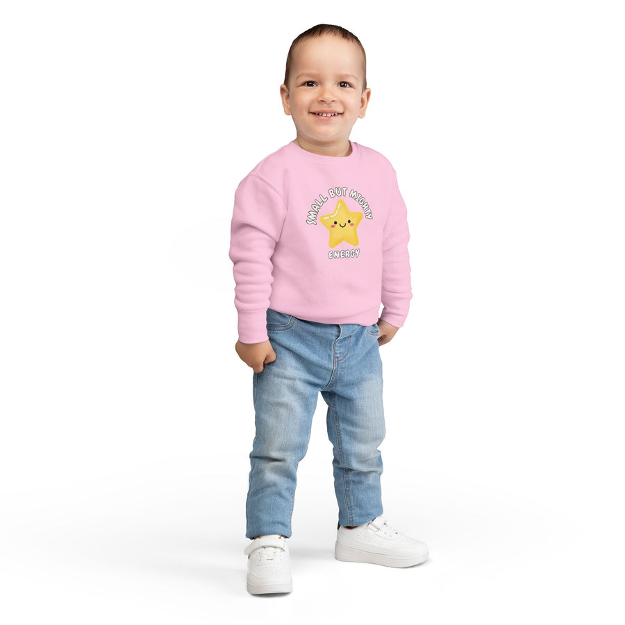 Toddler Sweatshirt - 