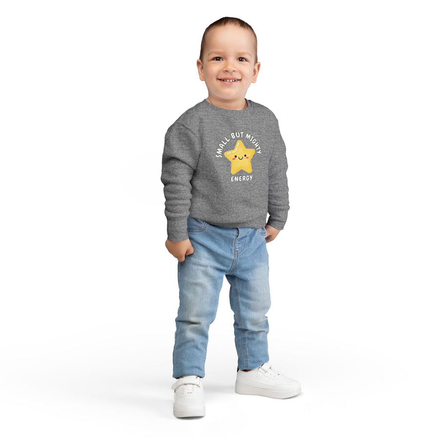 Toddler Sweatshirt - 